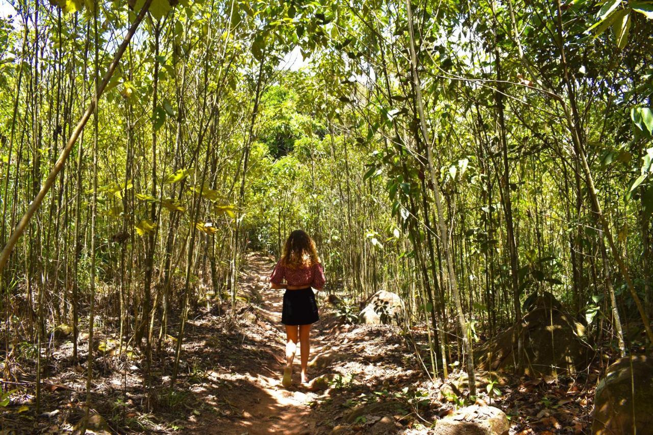 Bosque Guardian Lodge - All Inclusive Tarapoto Extérieur photo