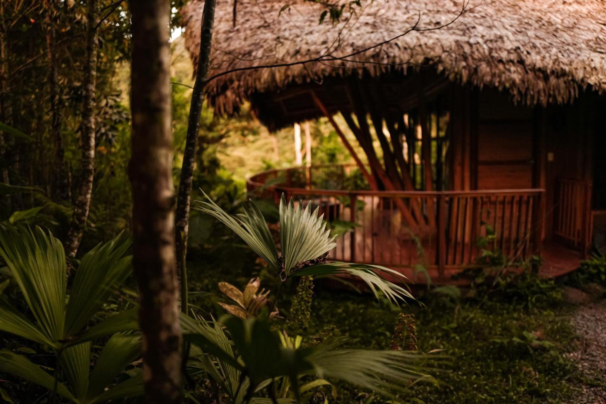 Bosque Guardian Lodge - All Inclusive Tarapoto Extérieur photo