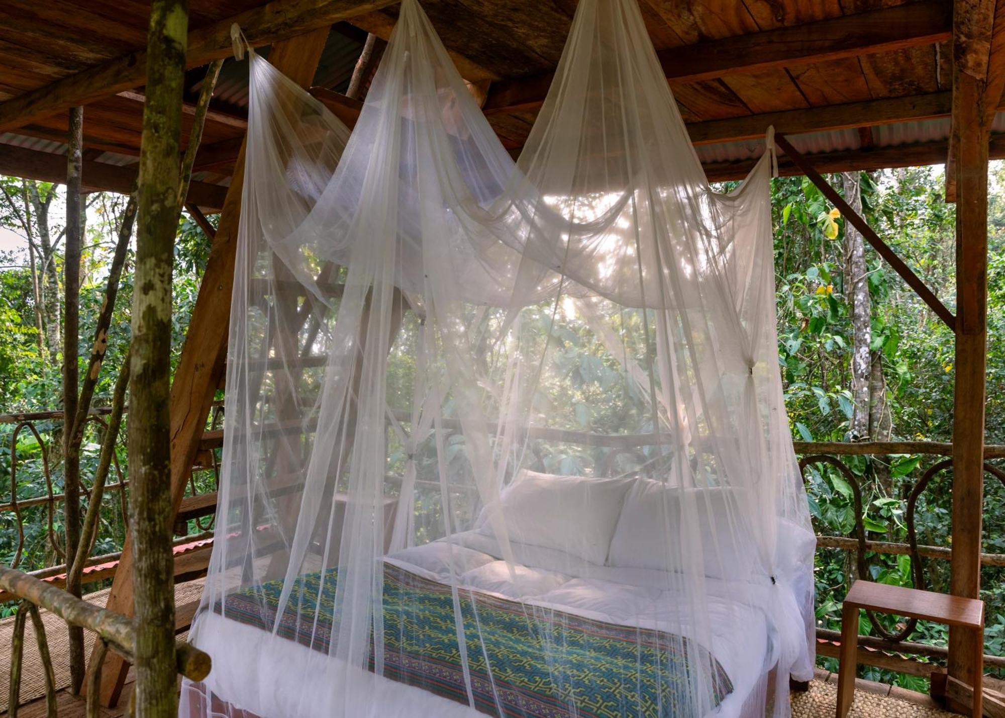 Bosque Guardian Lodge - All Inclusive Tarapoto Extérieur photo