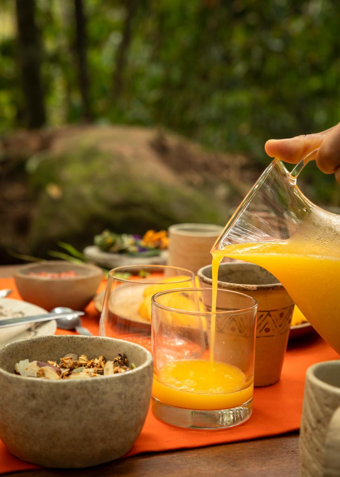 Bosque Guardian Lodge - All Inclusive Tarapoto Extérieur photo