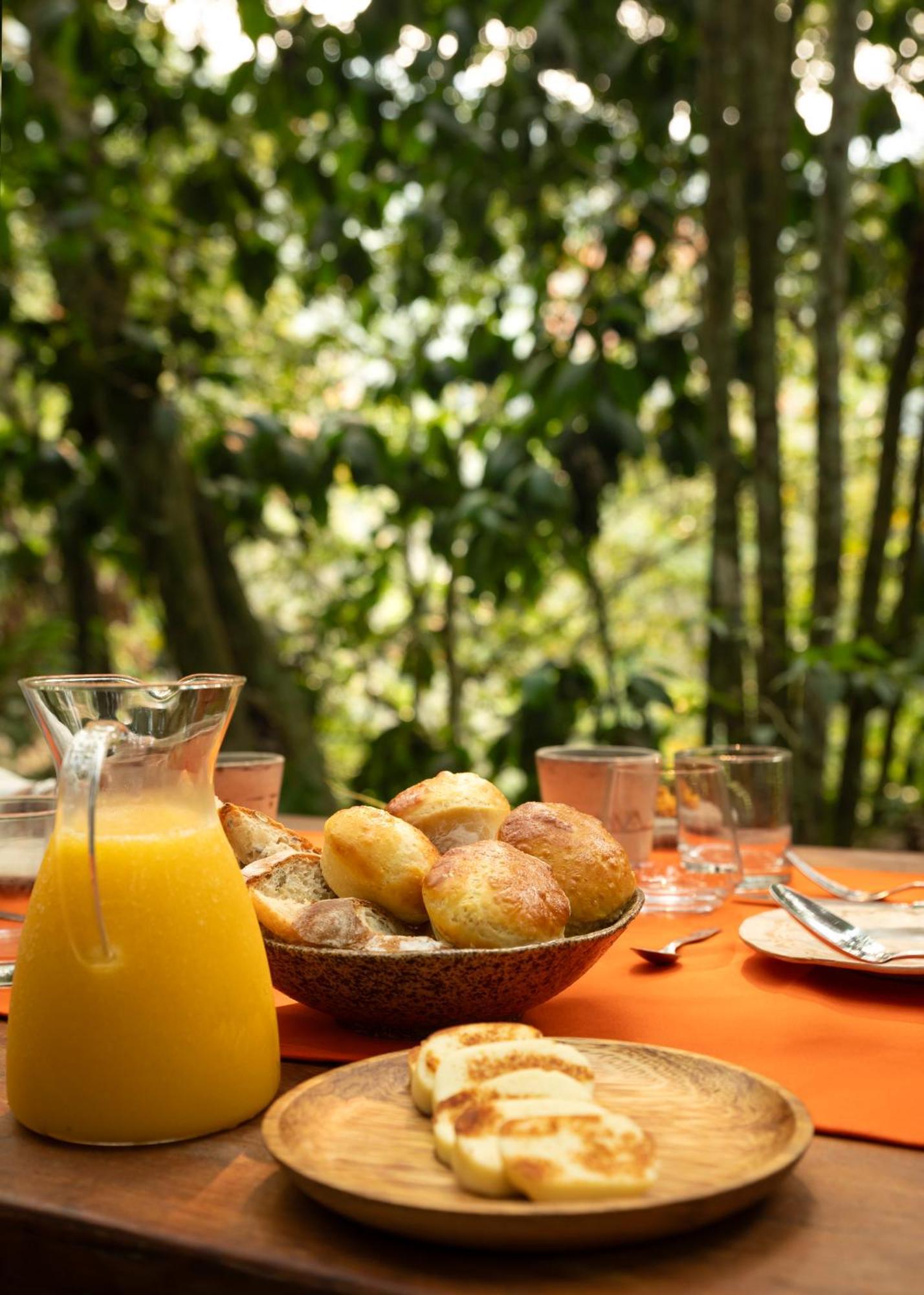 Bosque Guardian Lodge - All Inclusive Tarapoto Extérieur photo