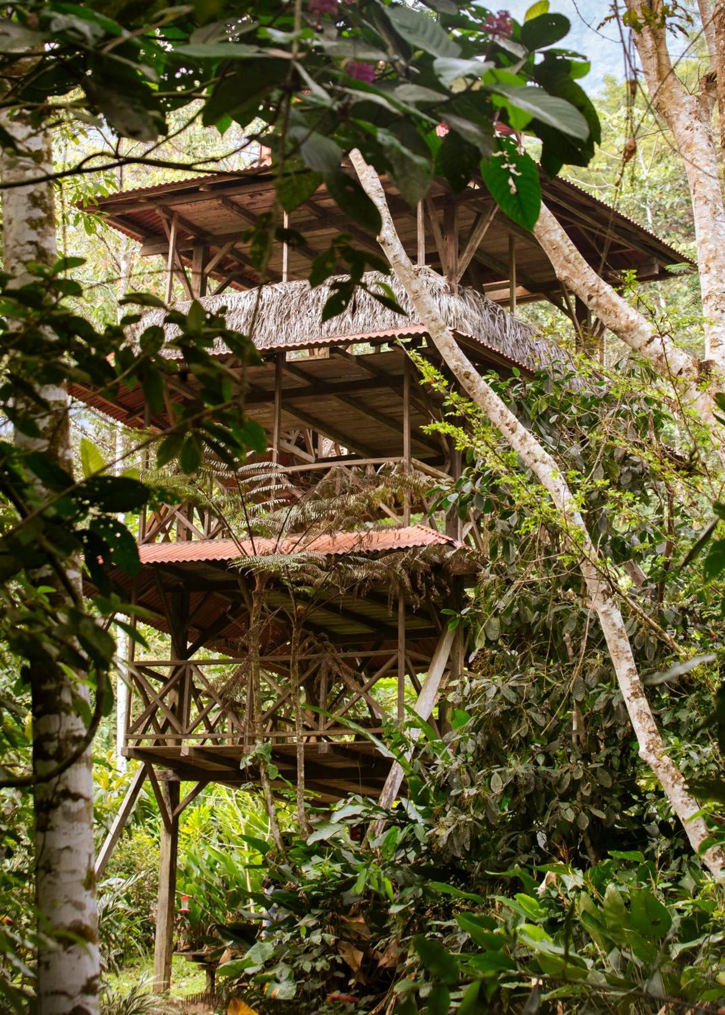 Bosque Guardian Lodge - All Inclusive Tarapoto Extérieur photo