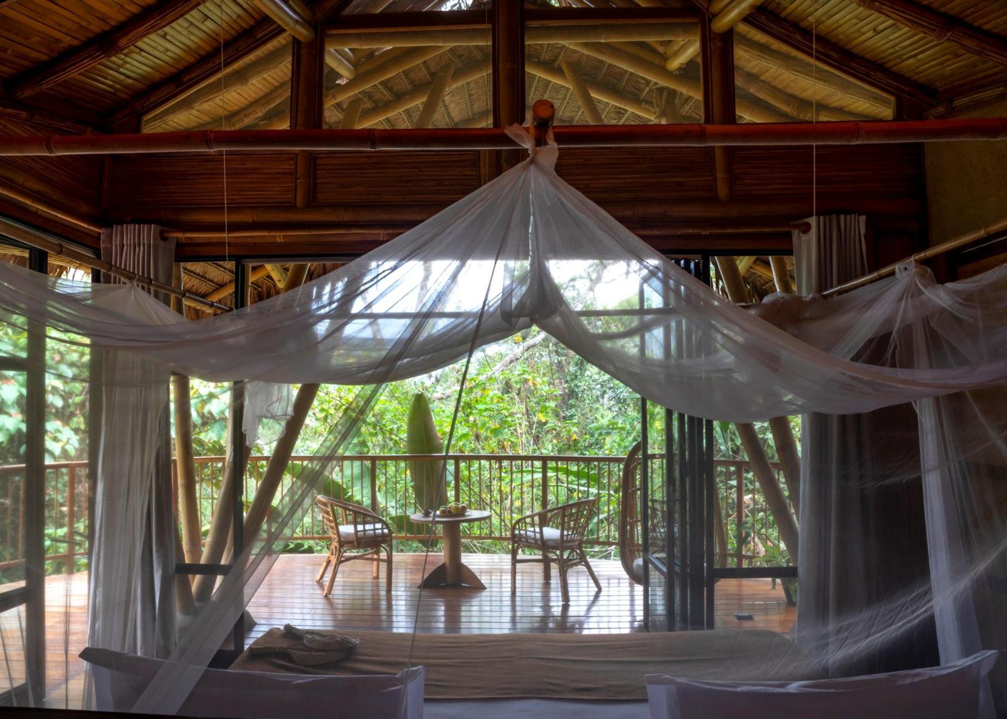 Bosque Guardian Lodge - All Inclusive Tarapoto Extérieur photo