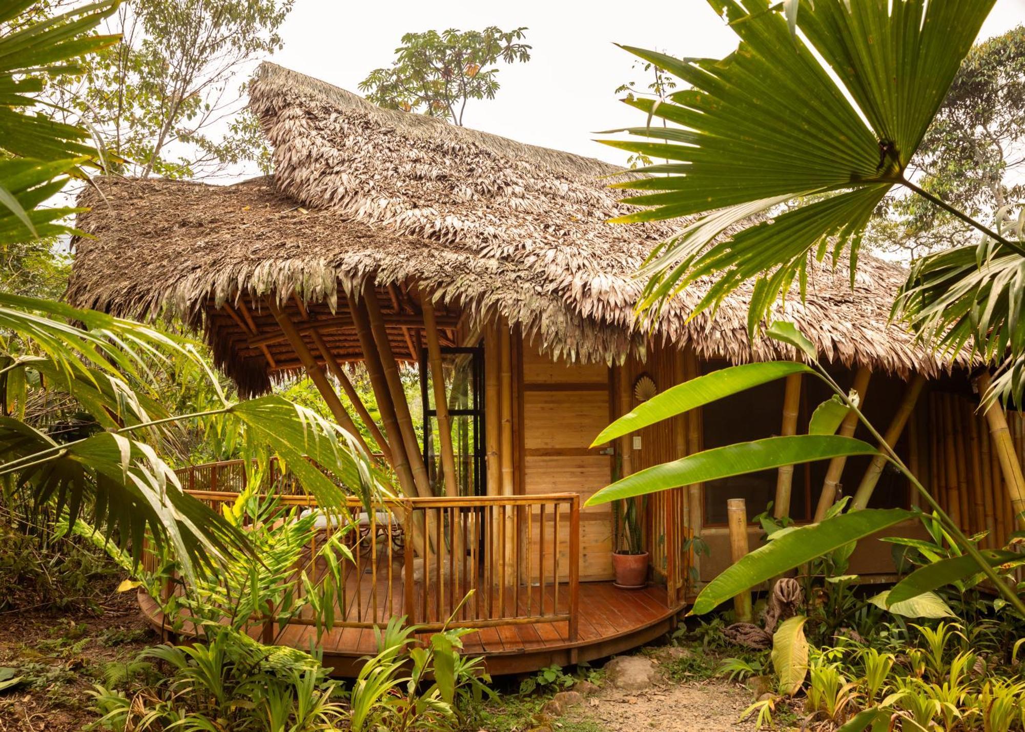 Bosque Guardian Lodge - All Inclusive Tarapoto Extérieur photo